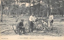 CPA 91 FORET DE SENART /