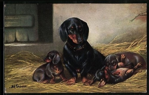 Carte postale artiste - carte, d'artiste