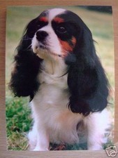 Carnet aimanté à feuilles  -