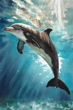  dauphin peinture originale 20