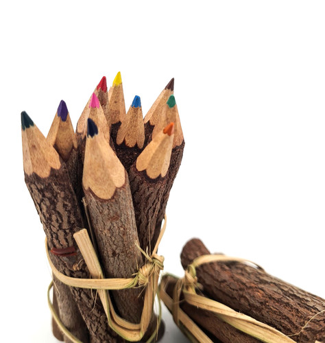Crayons couleurs branche - de,