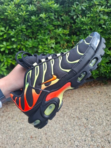 Requin air max plus - max,