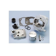 Groupe Thermique Polini