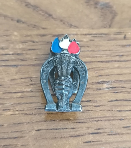 Insigne argenté boutonnière - insigne,