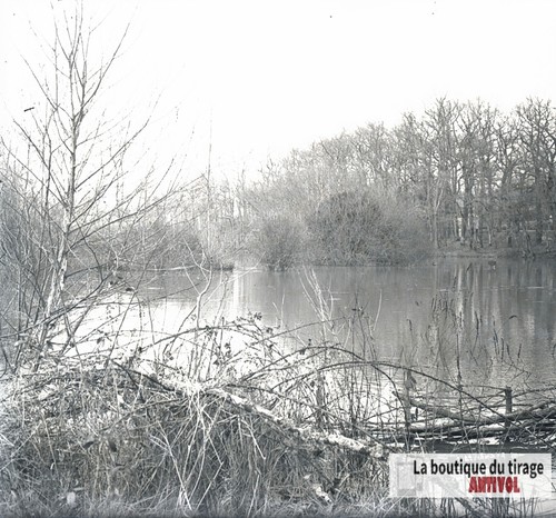 étang bordé sous bois - bordé, de