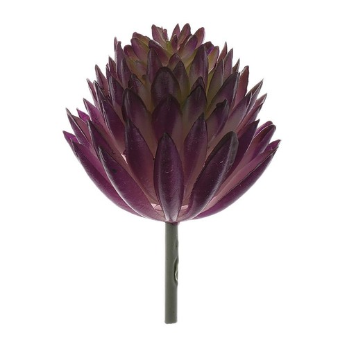 Succulente artificielle real - succulente,