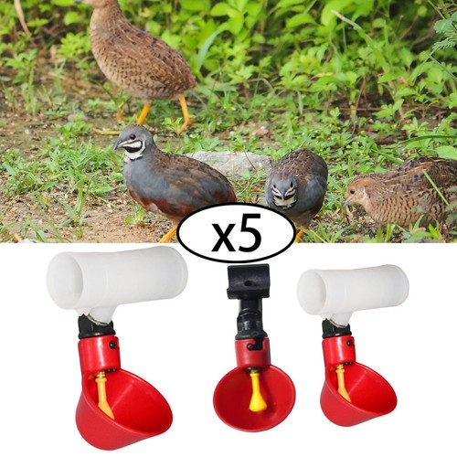 Automatique tasses - 5x,