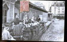DIEPPES MUSSEL MERCHANTS 