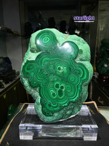 31lbrareeye banded malachite - banded,
