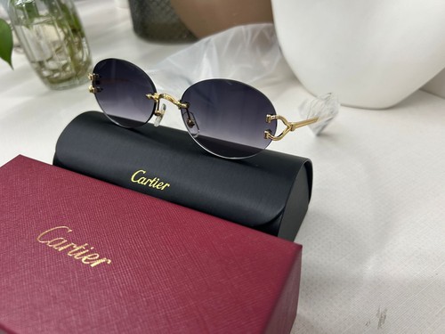 Lunette cartier homme - lunette,