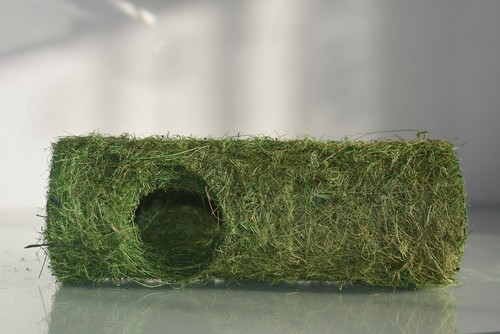 Vivarium terrarium reptile - vivarium,