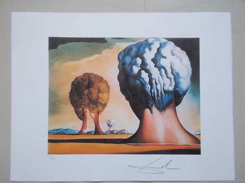 Lithographie salvador dali - dali,
