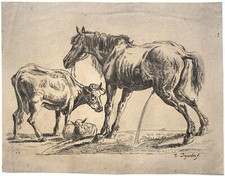 Karel ou Carel Dujardin Gravure originale 17e Cheval qui pisse, vache et brebis