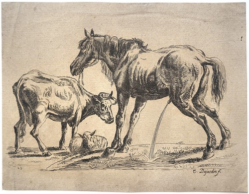 Karel carel dujardin - karel,