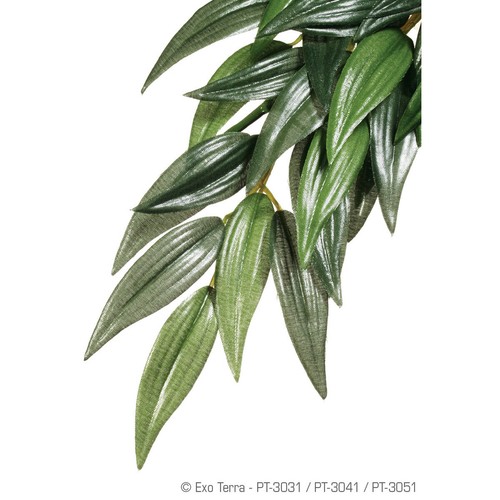 Exo terra plante - terra,