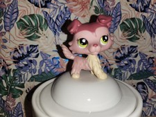 littlest petshop,colley, Dog