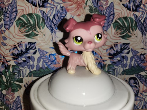 Littlest petshop colley dog - littlest, petshop,colley,