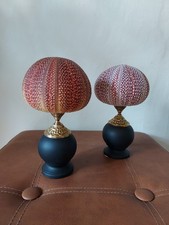 Oursins d’Écosse sur socle