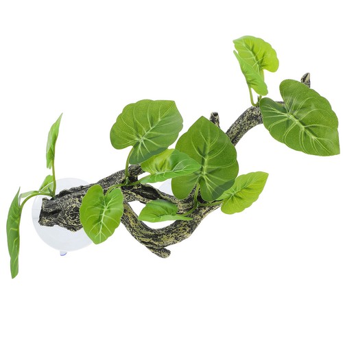 Accessoire pour terrarium - accessoire,
