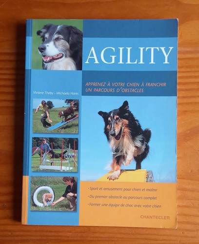 Agility viviane theby - agility, (