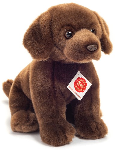 Chocolat labrador par - labrador,