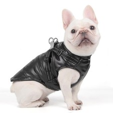 Chien chat manteaux vestes - chien,