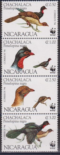 Timbres sur les animaux - animaux, wwf
