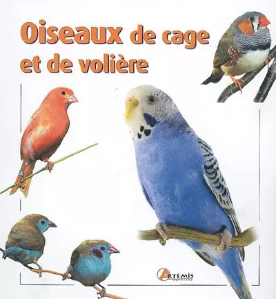 Oiseaux cage de voliere - cage, et