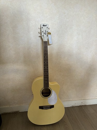 Guitare électrique - guitare,