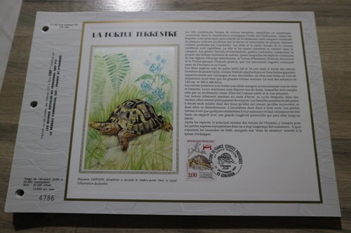 Feuillet cef 1991 - feuillet, jour