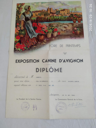 Affiche roux renard foire - affiche, roux-renard