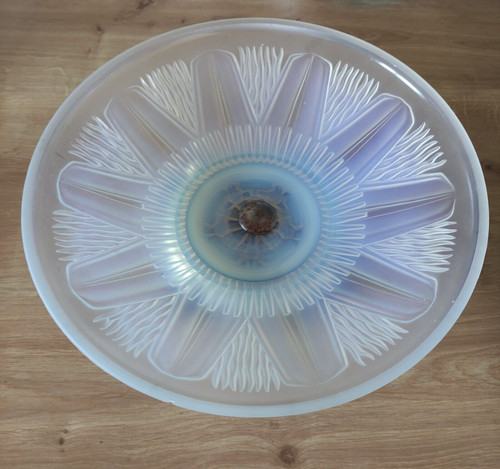 Coupe verre opalescent - coupe, bleue