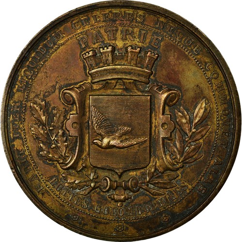 France médaille luttes - france,,
