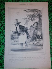 Collection Article De Journal