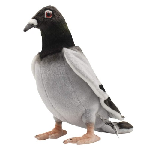 Peluche pigeon voyageur 20cmh - peluche,