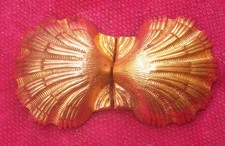 ancienne Boucle de Ceinture en forme de Coquille Saint-Jacques en laiton embouti