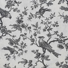 Mini Mésanges Coton impression noire (Anthracite) [au demi-mètre]