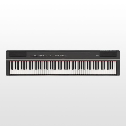 Stock piano numérique - piano,