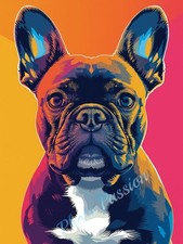 Photo A4 Bouledogue Français