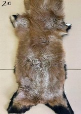 Highland Mountain Mouflon Aries Pelt Skin Hide Fur Taxidermy Home Decor 6/20