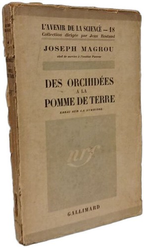 Des orchidées pomme de - orchidées,