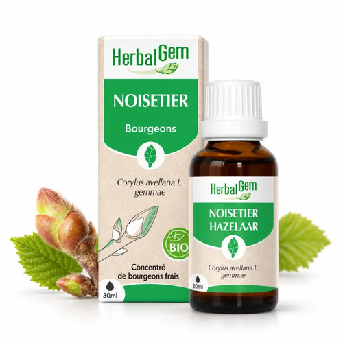 Bourgeon noisetier bio - bourgeon, de