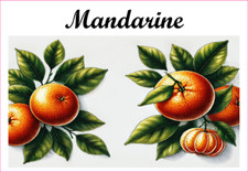Mandarine 12 sticker vinyle conserve fruit légume confiture fait maison