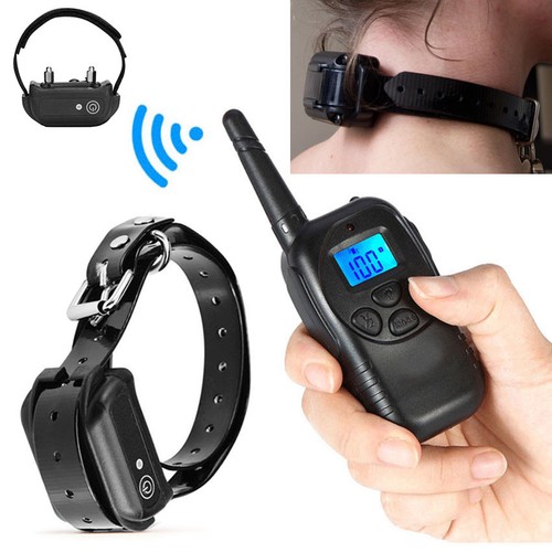 Remote control cock - **, cock_shock