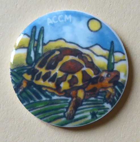 Fève perso tortue hermann - fève, la