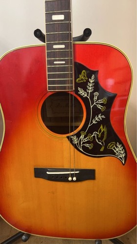 Guitare acoustique pro martin - pro,