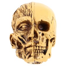  Modèle anatomique de crâne humain, modèle d'enseignement de squelette de tête