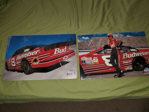 New dale earnhardt 8 - new,
