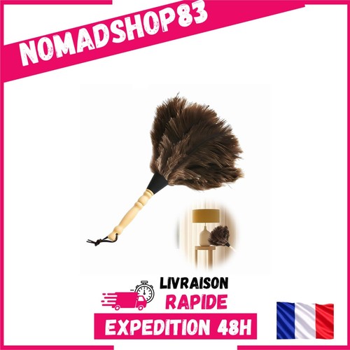 Plumeau plumes autruche - en,