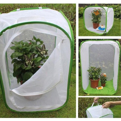 Cage insectes pliable en - à,